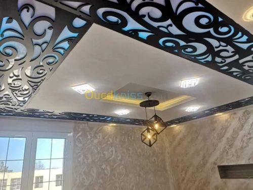 Placoplâtre PVC faux plafond. BA13 pla