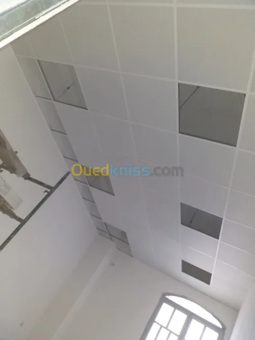 Placoplâtre PVC faux plafond. BA13 pla