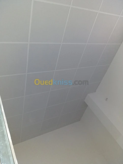 Placoplâtre PVC faux plafond. BA13 pla
