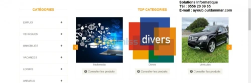 Création des sites / applications Web.