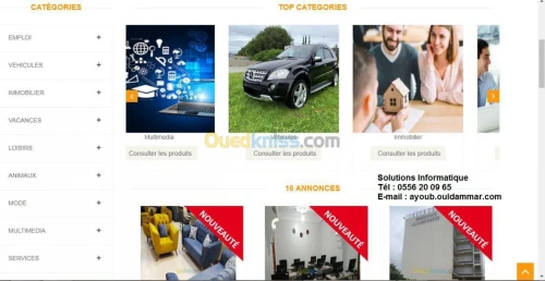 Création des sites / applications Web.