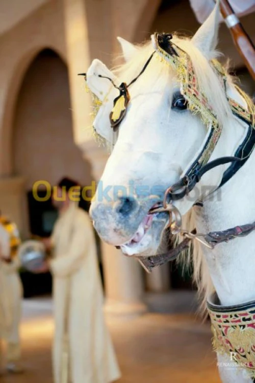 Organisation de Mariages