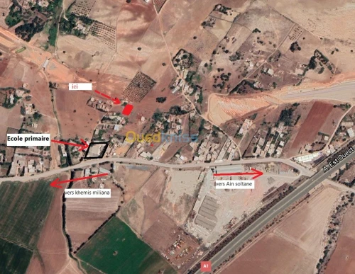 Vente Terrain Aïn Defla Ain soltane