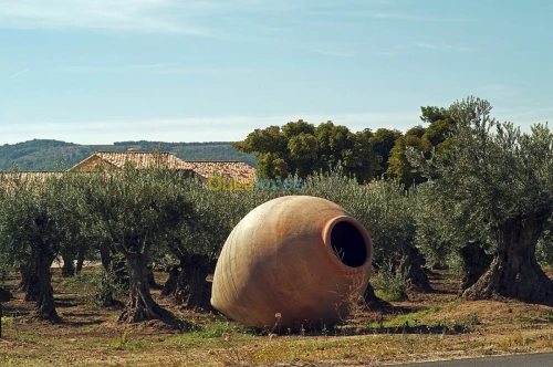 Huile d'olive de jijel