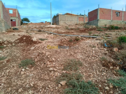 Vente Terrain Chlef Oued sly