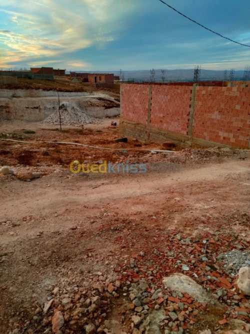 Vente Terrain Chlef Oued sly