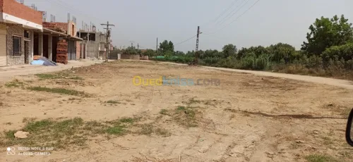 Vente Terrain Blida Bouinan