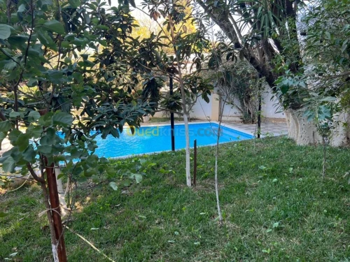 Location Villa Alger El biar