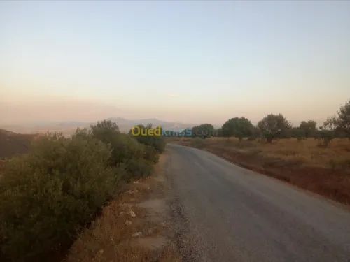 Vente Terrain Bouira Aghbalou