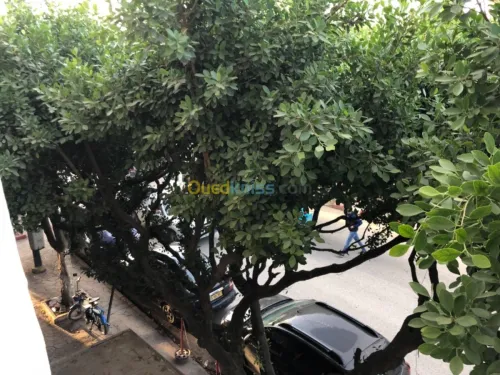 Vente Appartement F3 Boumerdes Khemis el khechna