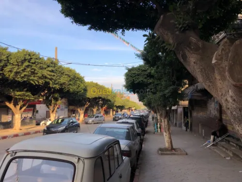 Vente Appartement F3 Boumerdes Khemis el khechna