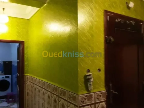 دهن المنازل داخلي وخارجي وB13