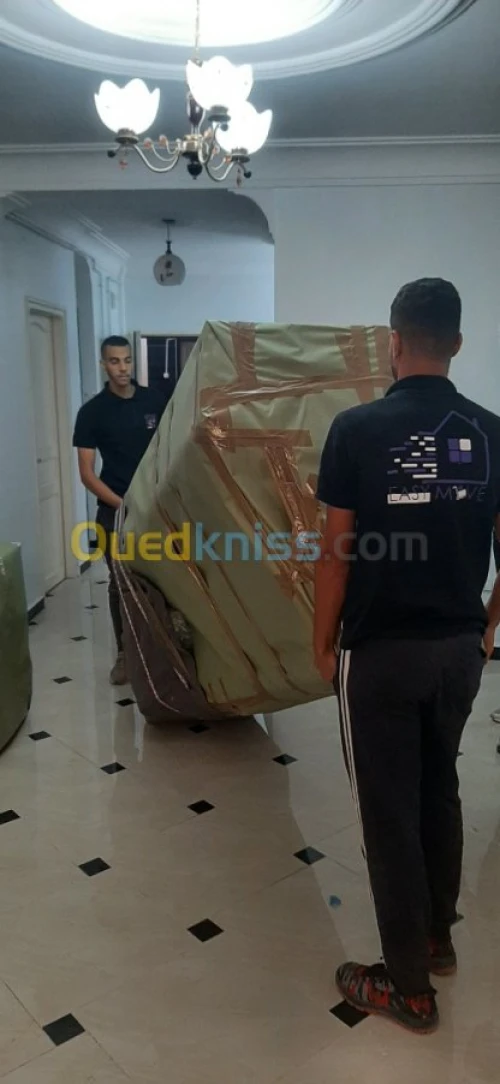 Demenagement et transport des biens 