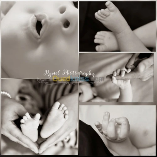 Photographe 