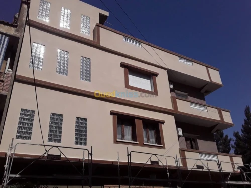 Revêtement des façades monocouche 