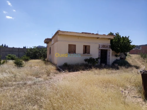 Vente Villa Batna Djerma