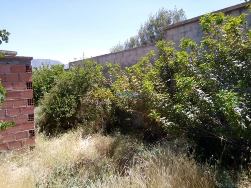 Vente Villa Batna Djerma