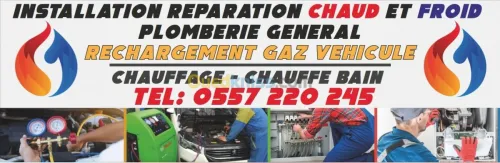 Réparation chaudière à gaz murale et s