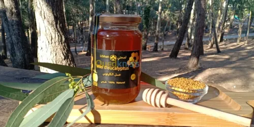 Miel d'eucalyptus عسل الكاليتوس