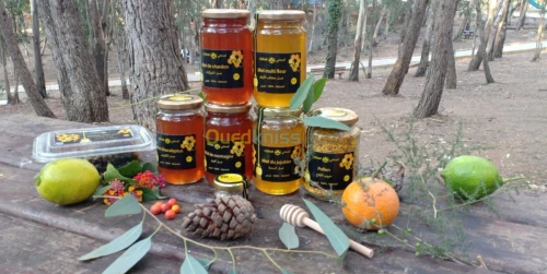 Miel d'eucalyptus عسل الكاليتوس
