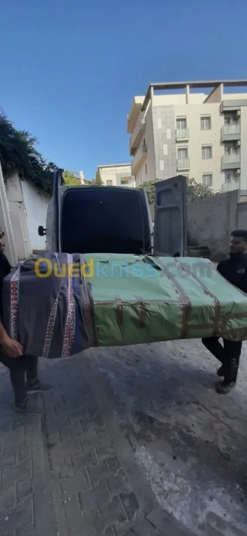 Demenagement tout options 