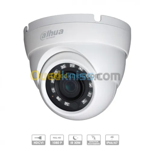 Caméra de surveillance & System d'alar