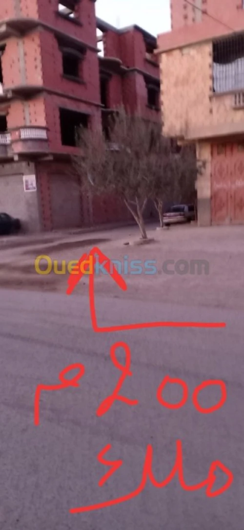 Vente Terrain Msila Msila