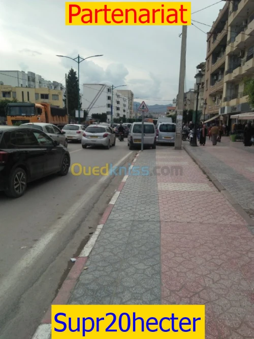 Vente Terrain Alger Alger centre