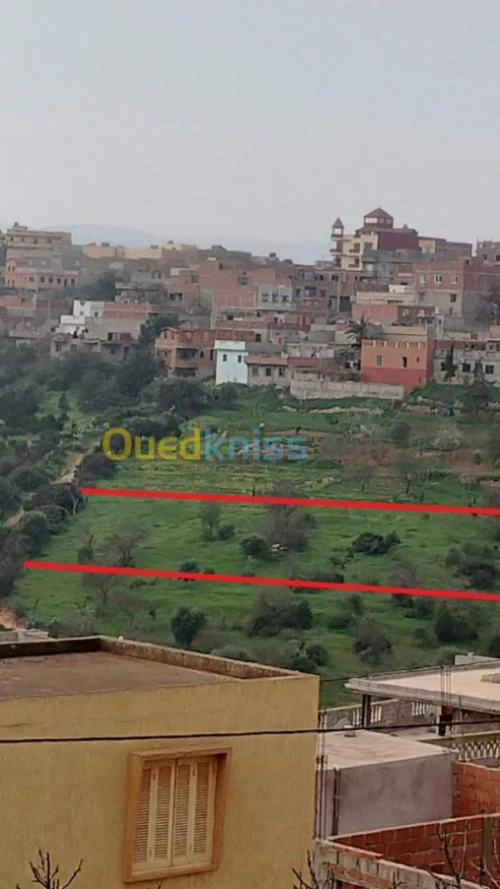 Vente Terrain Tlemcen Ghazaouet