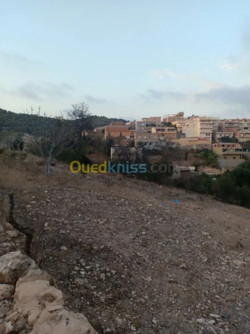 Vente Terrain Tlemcen Ghazaouet