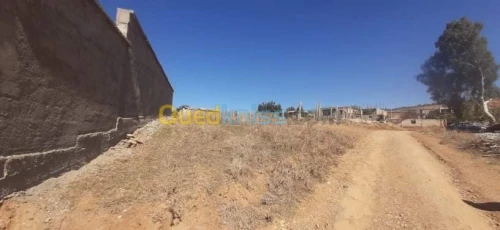 Vente Terrain Boumerdes Boudouaou