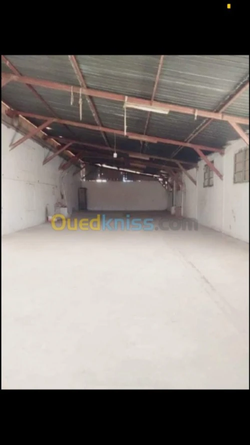 Location Hangar Tizi ouzou Tizi ouzou