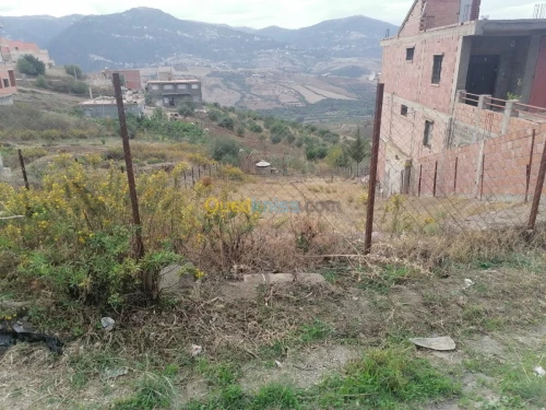 Vente Terrain Tizi ouzou Illoula oumalou