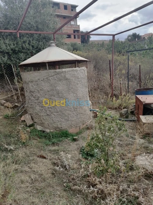 Vente Terrain Tizi ouzou Illoula oumalou