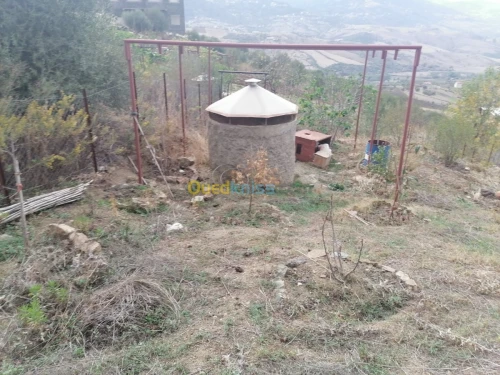 Vente Terrain Tizi ouzou Illoula oumalou
