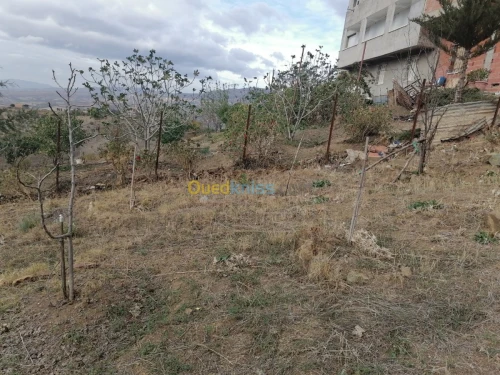 Vente Terrain Tizi ouzou Illoula oumalou