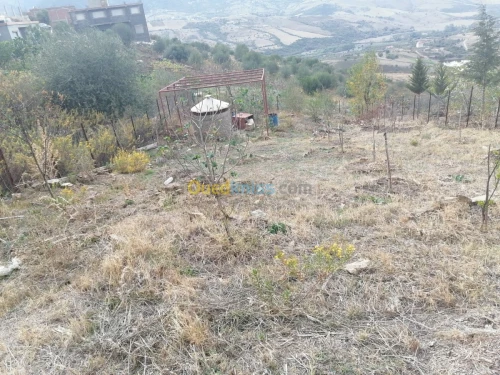 Vente Terrain Tizi ouzou Illoula oumalou