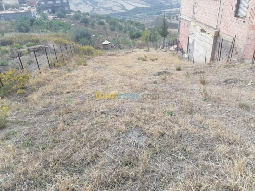 Vente Terrain Tizi ouzou Illoula oumalou
