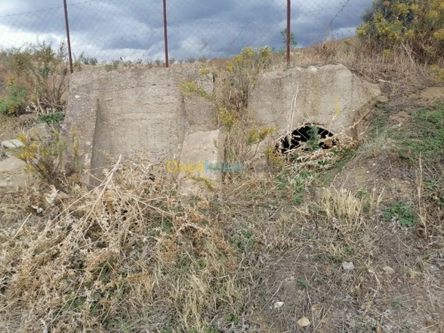 Vente Terrain Tizi ouzou Illoula oumalou
