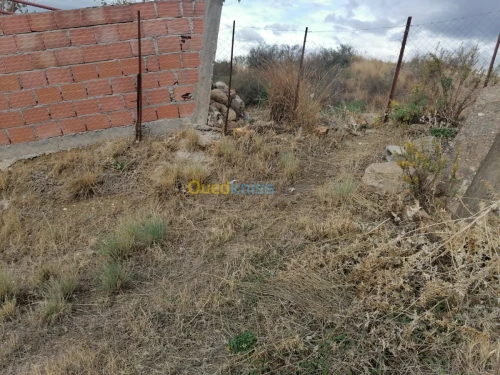 Vente Terrain Tizi ouzou Illoula oumalou