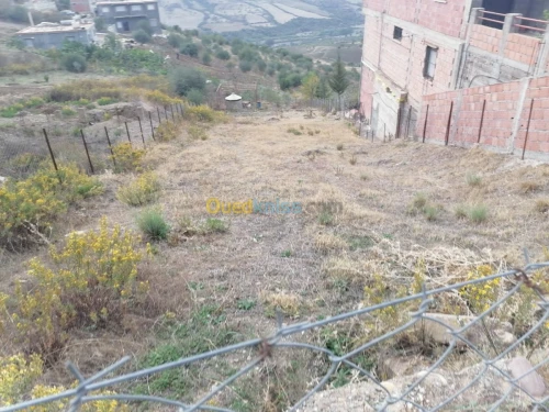Vente Terrain Tizi ouzou Illoula oumalou