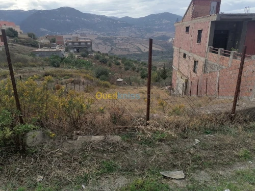 Vente Terrain Tizi ouzou Illoula oumalou