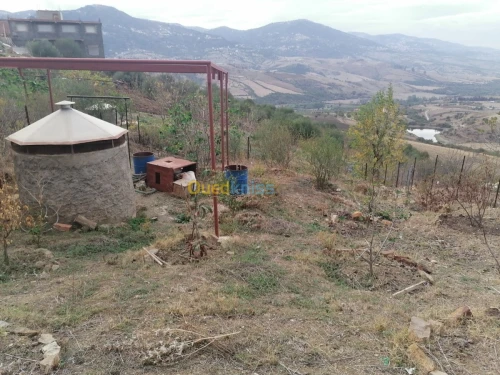 Vente Terrain Tizi ouzou Illoula oumalou