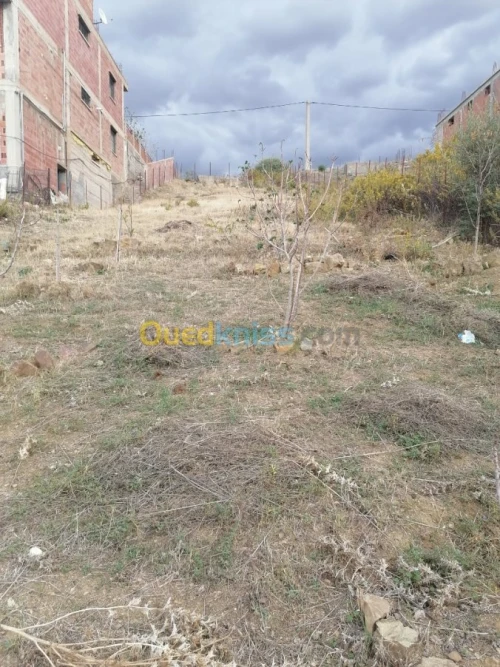 Vente Terrain Tizi ouzou Illoula oumalou