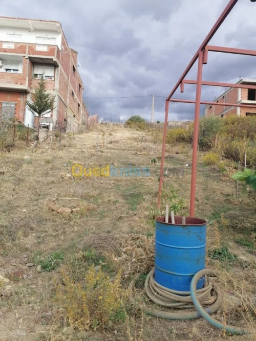 Vente Terrain Tizi ouzou Illoula oumalou