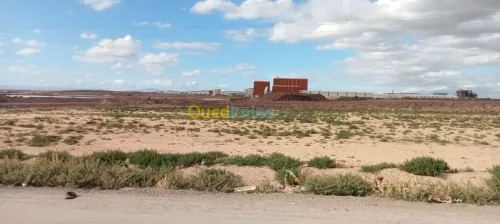 Vente Terrain Setif Setif