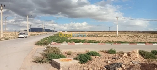 Vente Terrain Setif Setif