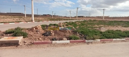 Vente Terrain Setif Setif