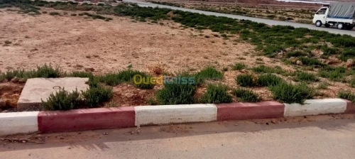 Vente Terrain Setif Setif
