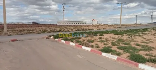 Vente Terrain Setif Setif